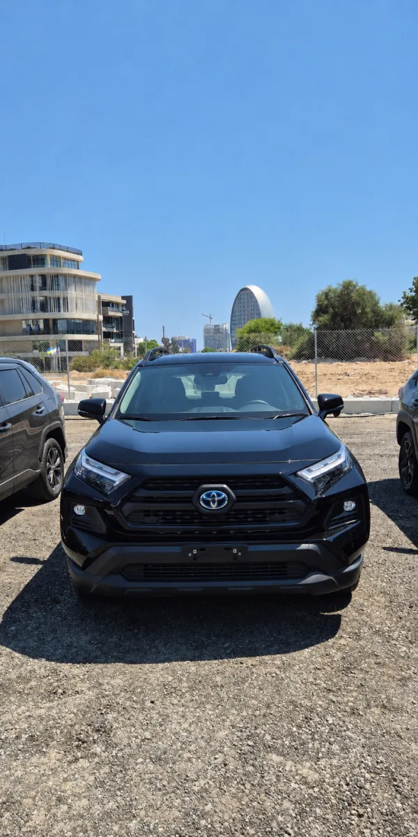 Toyota RAV 4 - photo 4